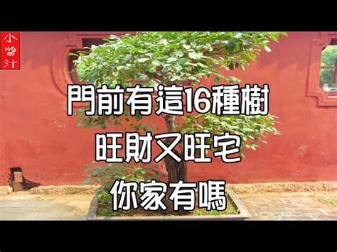 門口左右 邊種樹|大門兩側種什麼樹好家大門兩邊種什麼樹好？